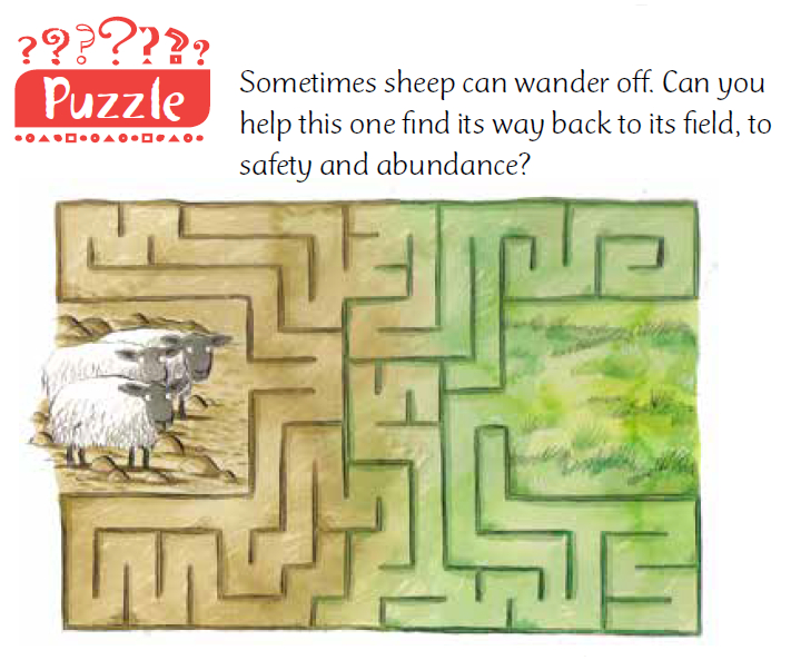 A maze puzzle for trying to guide a sheep to a pasture