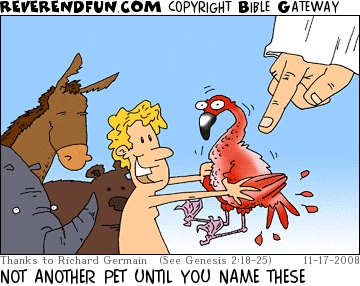 A cartoon of Adam taking a flamingo with various animals behind him and God's finger pointing at him with the caption "Not another pet until you name these!"