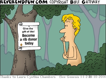 A cartoon of Adam looking at a sign on a tree which says "Give the gift of life: become a rib donor today!"