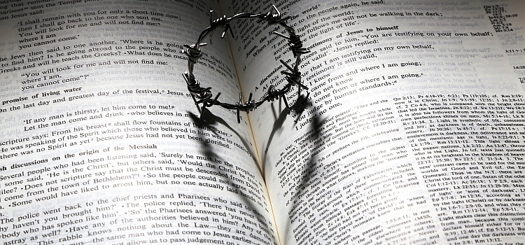 A small crown of thorns on a Bible with the shadow casting the shape of a heart