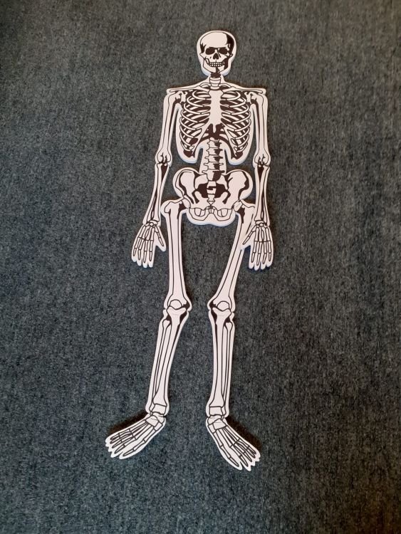 A skeleton made of puzzle pieces on a carpeted floor