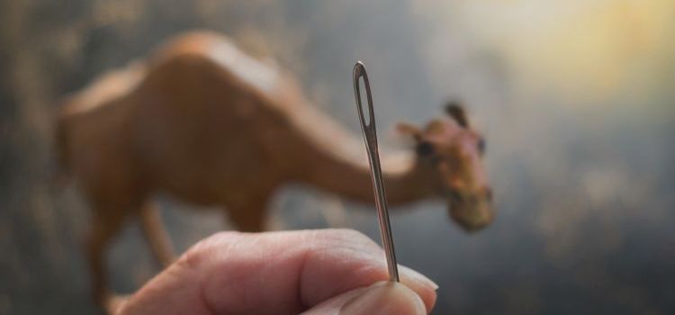A hand holding up a needle showing the eye of the needle in the foreground with a blurred image of a camel in the background