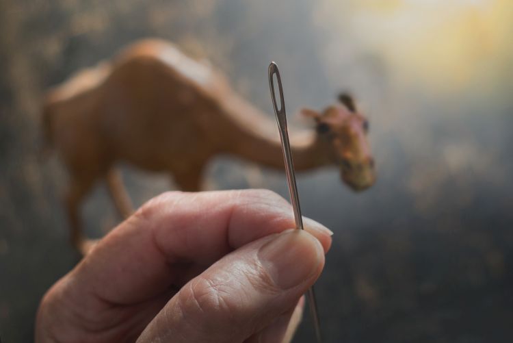 A hand holding up a needle showing the eye of the needle in the foreground with a blurred image of a camel in the background