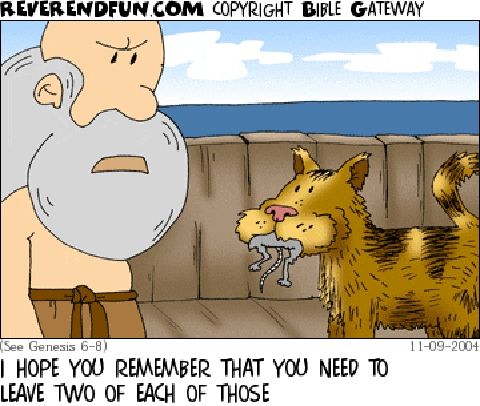 A cartoon of Noah looking angrily at a cat with a mouse hanging out of its mouth and the caption "I hope you remember you need to leave two of each of those"