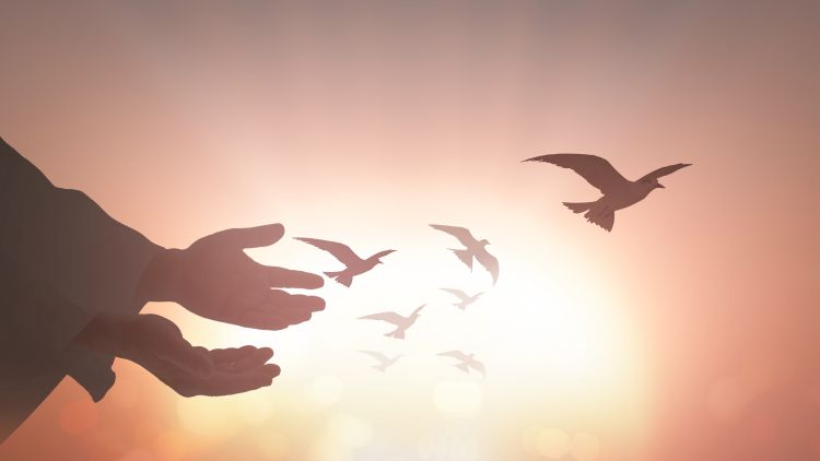 Hands reaching out against a sunset sky with doves flying across the sky