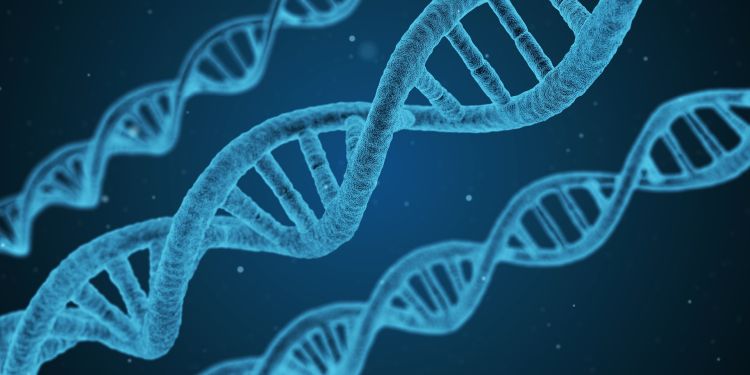 Strands of DNA against a dark blue backdrop