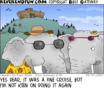 A cartoon of two elephants wearing sunglasses coming down a hill with Noah's ark seen at the top of the hill and the caption "Yes dear, it was a nice cruise but I'm not keen on doing it again."