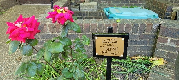 Red roses in the BB garden next to a plaque