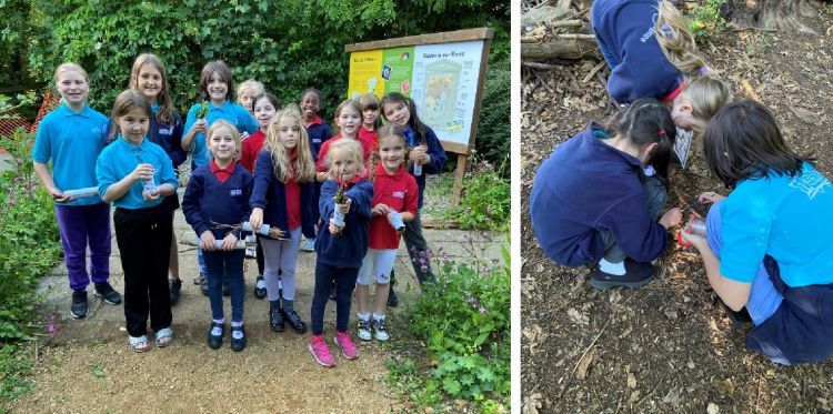 Girls' Brigade girls at Iver Environment Centre and three girls doing some bug hunting