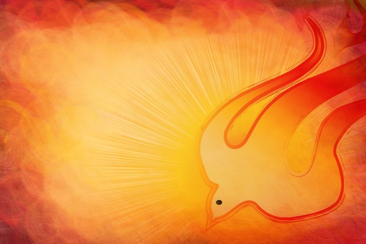 An illustration of a dove against a fiery background