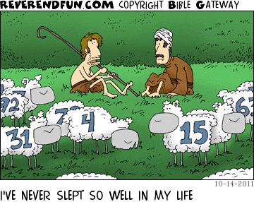 A cartoon showing two shepherds sitting surrounded by numbered sheep. The caption reads "I've never slept so well in my life."