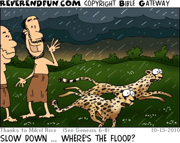 A cartoon of two men standing in heavy rain watching two leopards race past. The caption reads "Slow down... where's the flood?"