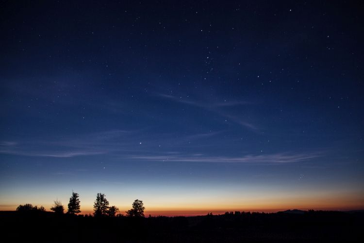 Trees against a night sky with sunlight starting to appear on the horizon