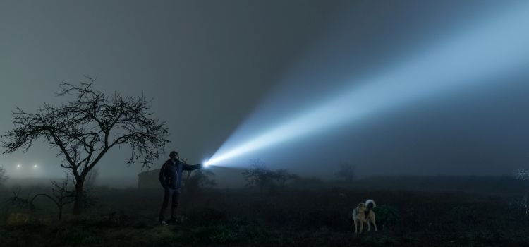 A torchlight shining out from a field at night illuminating a man and a dog next to a tree