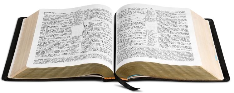 An open Bible on a white background