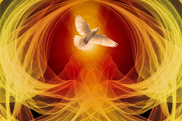 An image of a dove on a fiery background