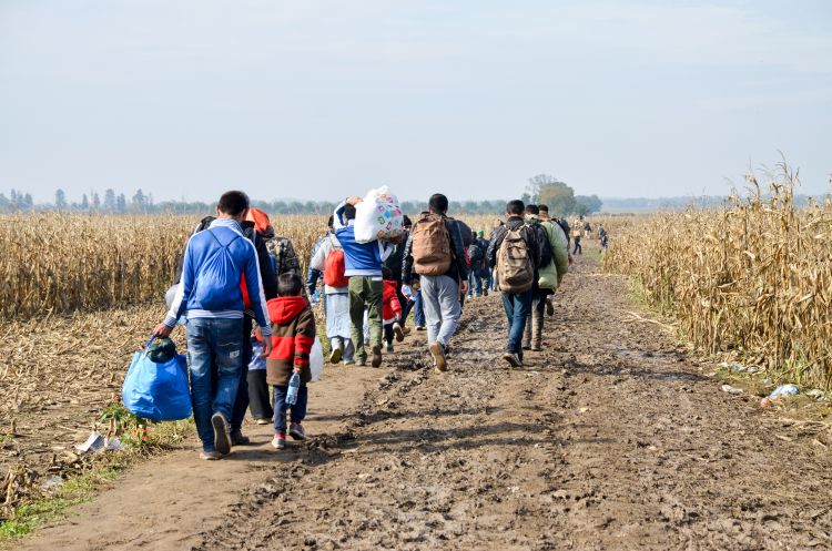 A group of refugees walking in a cornfield. 