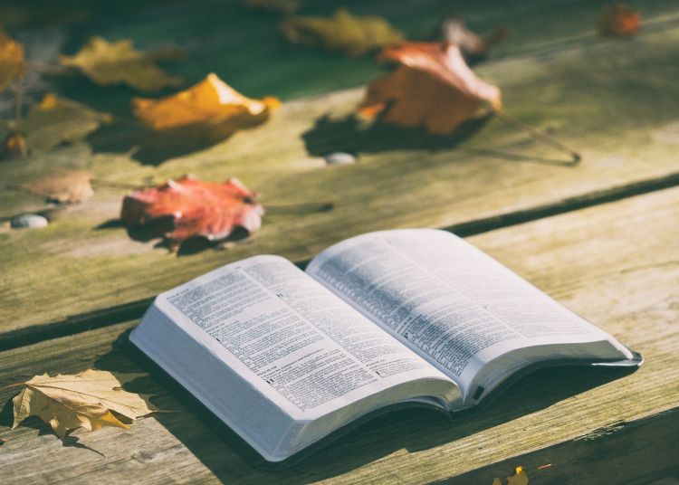 An open Bible on a wooden table with autumn leaves behind it