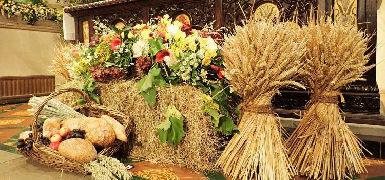 A hay bale, corn sheaves and a basket of fruit and veg in front of an altar
