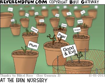 A cartoon showing a series of plant pots with seedlings labelled "Plum",